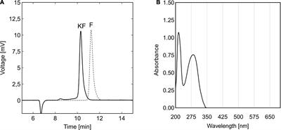 5-Keto-D-Fructose, a Natural Diketone and Potential Sugar Substitute, Significantly Reduces the Viability of Prokaryotic and Eukaryotic Cells